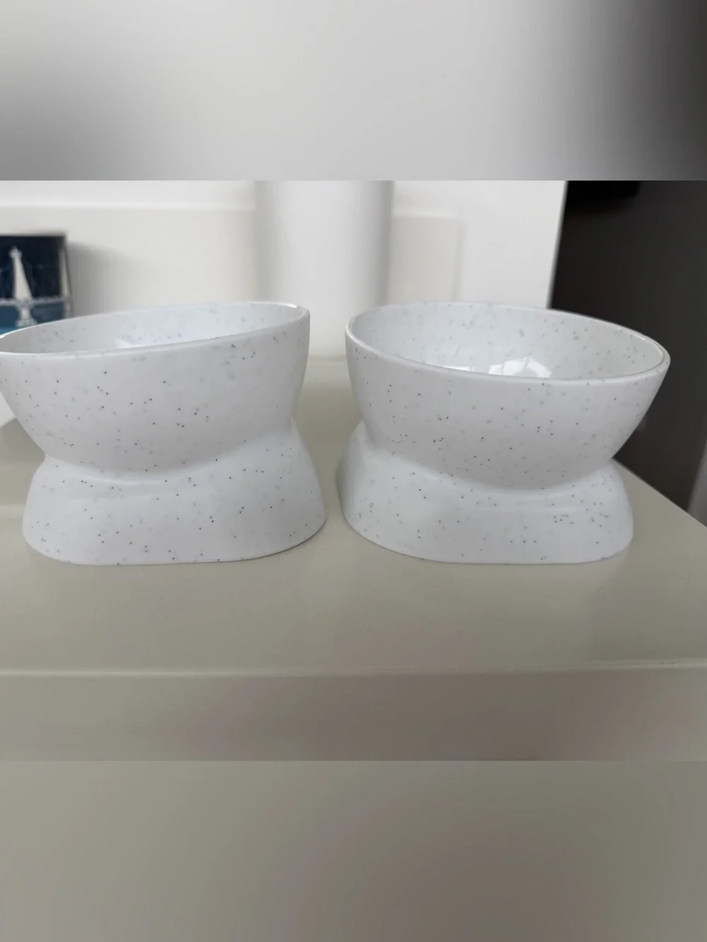 Cat Food and Water Bowls Tilted Elevated Raised Plastic Feeding Dishes Set of 4